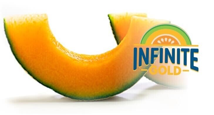 infinite gold.jpeg